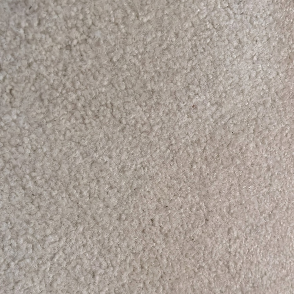 A piece of carpet from my floor